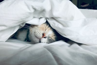 Sleep – The Productivity Trick Business Keeps Missing